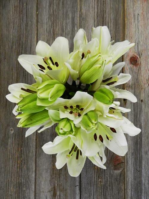 LITOUWEN LA Hybrid Lily 3/4 Bloom